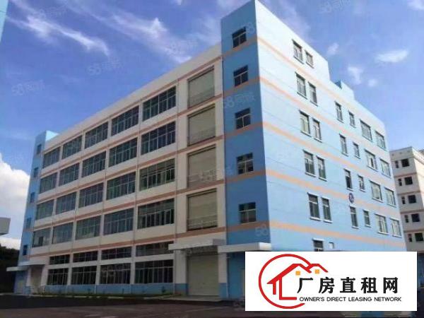  科技园大朗新亚洲浦京高新科技园