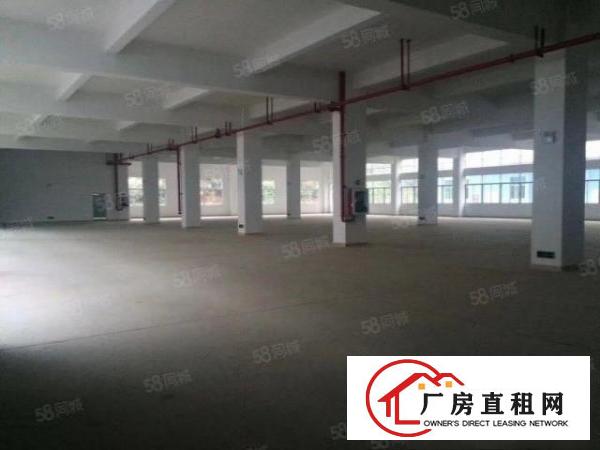  科技园大朗新亚洲浦京高新科技园