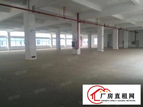  科技园大朗新亚洲浦京高新科技园