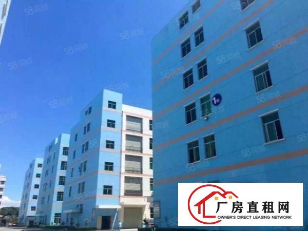  科技园大朗新亚洲浦京高新科技园