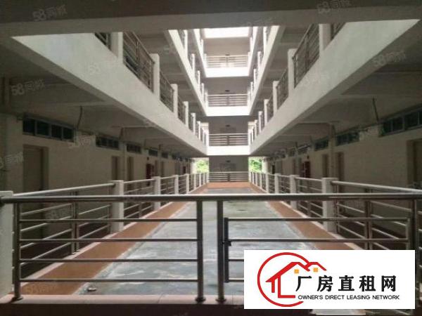  科技园大朗新亚洲浦京高新科技园