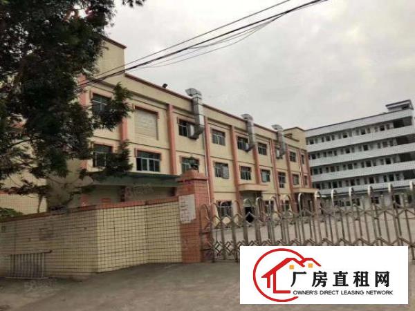  大朗水口工业区68号新出一二楼标准厂房，每层1300.带装修