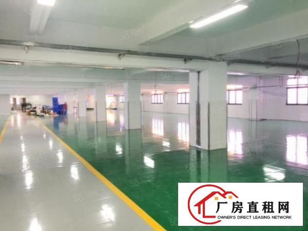  大朗沙步全新标准厂房三楼1620平办公室豪华装修全新地坪漆