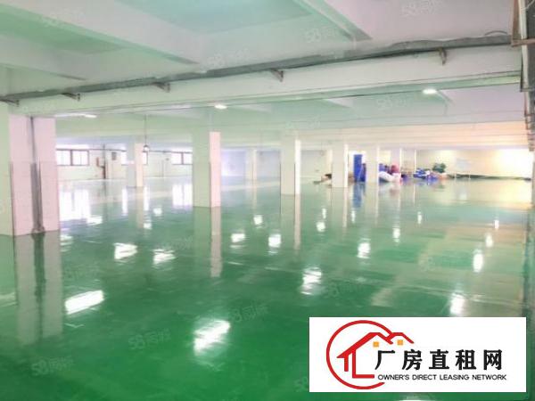  大朗沙步全新标准厂房三楼1620平办公室豪华装修全新地坪漆