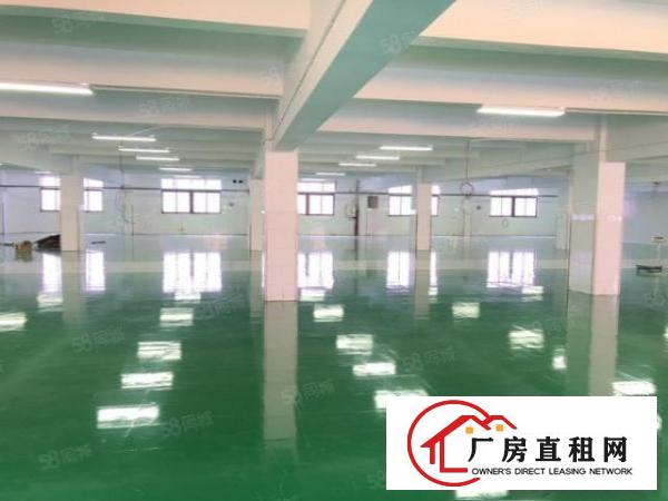  大朗沙步全新标准厂房三楼1620平办公室豪华装修全新地坪漆