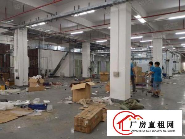  大朗新出原房东独院厂房8600平方出租实际面积可分租可办环评