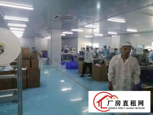  大朗新出原房东独院厂房8600平方出租实际面积可分租可办环评