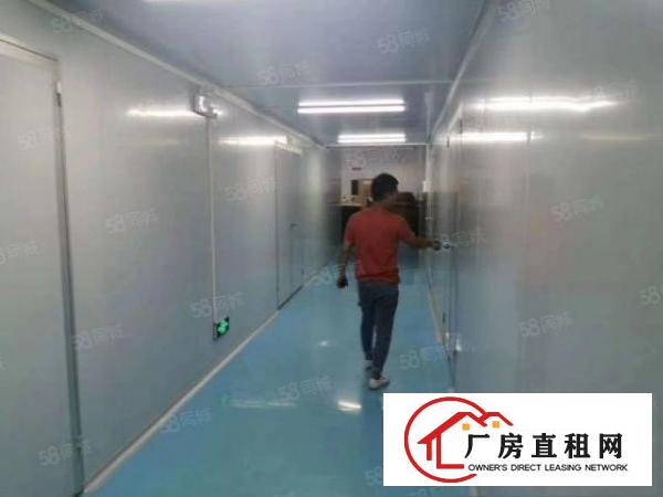  大朗新出原房东独院厂房8600平方出租实际面积可分租可办环评