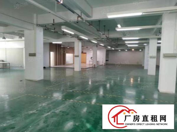  出租|大朗标准厂房800平，原房东
