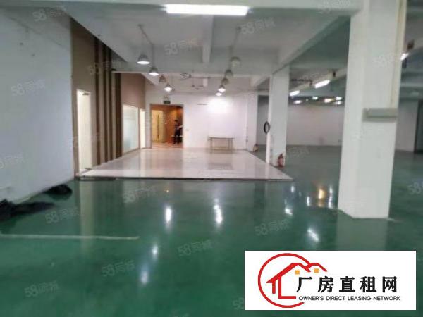  出租|大朗标准厂房800平，原房东