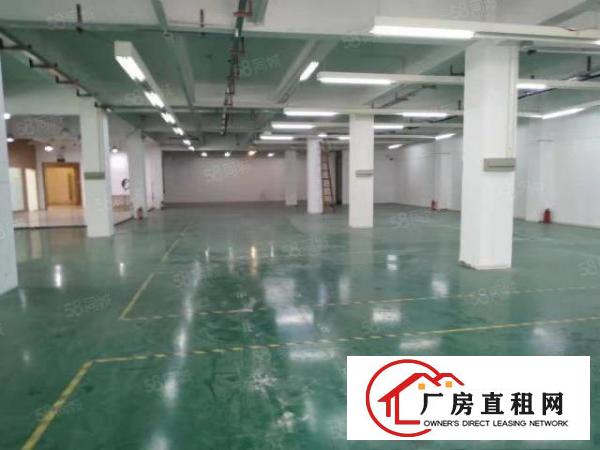  出租|大朗标准厂房800平，原房东
