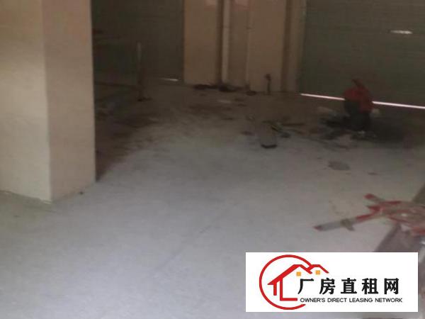 可以一起租，或要一半，分租都可以，欢迎来看