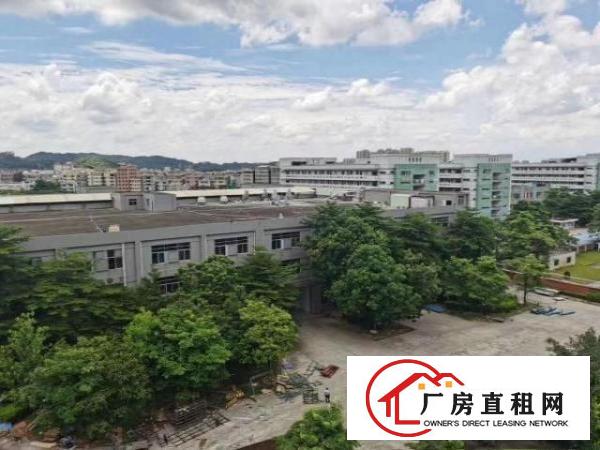  黄江花园式厂房总面积80000平方招租