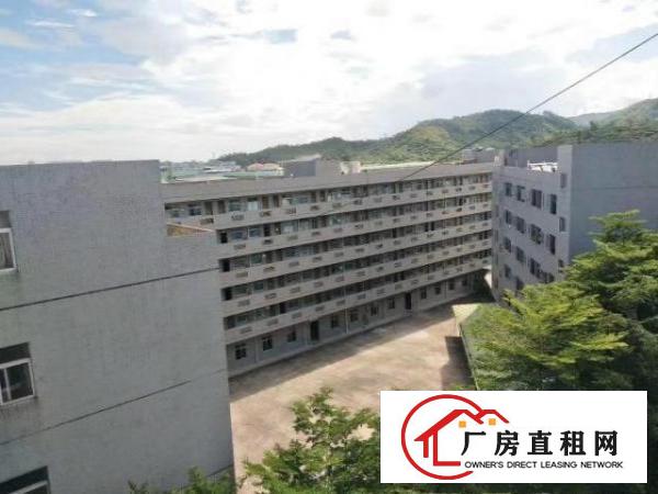  黄江花园式厂房总面积80000平方招租