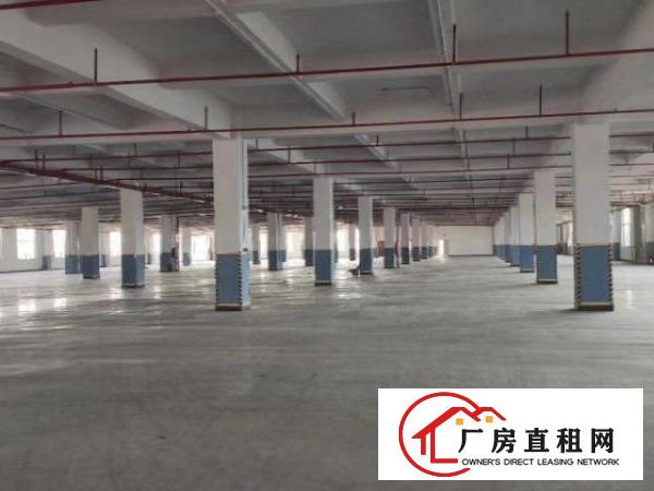  黄江镇北岸黄牛埔标准厂房1-2楼出租