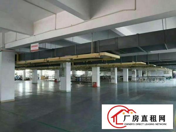  出租黄江镇梅塘社区大型工业园区国有红本厂房整租可分租