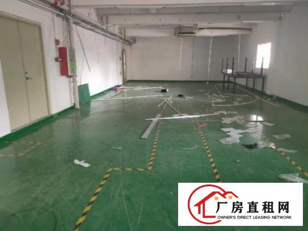  黄江镇靠深圳新出现成装修厂房