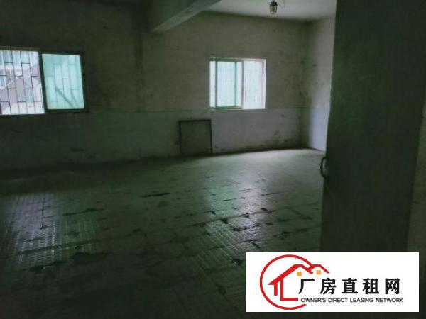  北岸独立空间1000平米厂房出租(赠送200平3层办公室)