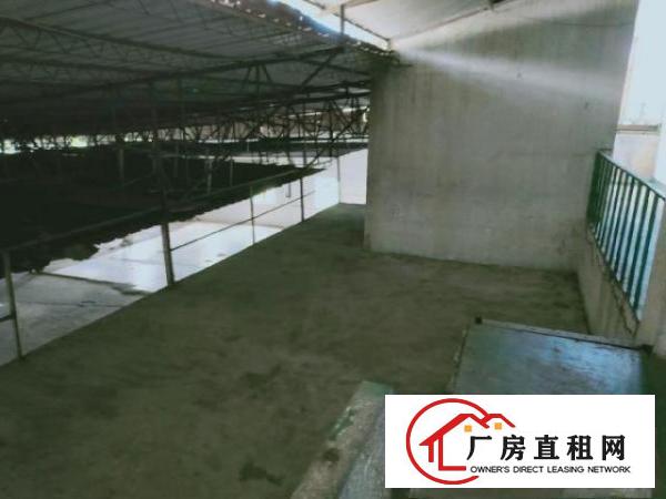  北岸独立空间1000平米厂房出租(赠送200平3层办公室)