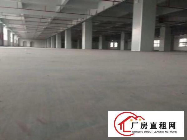  黄江镇新出一楼5000平7米高标准厂房