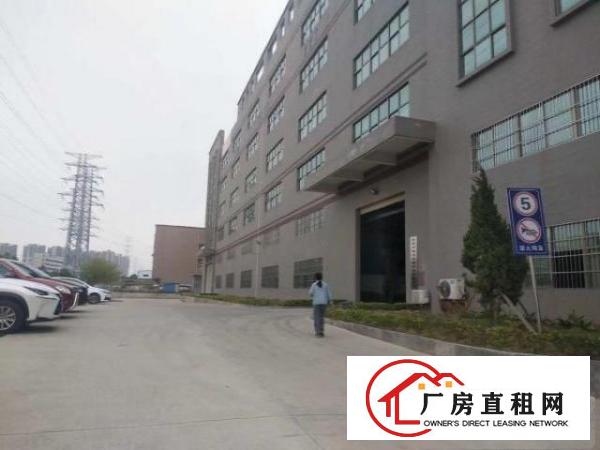  黄江镇新出一楼5000平7米高标准厂房