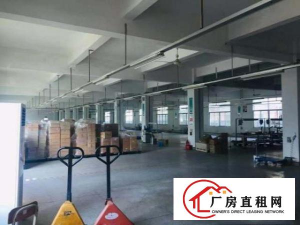 东莞黄江原房东独院厂房5000平出租可分层500起分租
