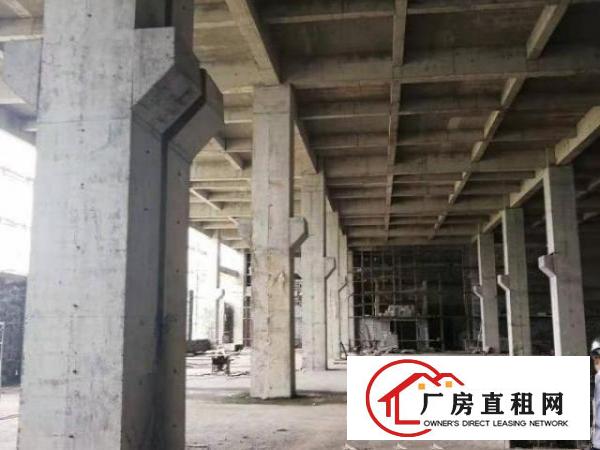  黄江镇原房东独院厂房十万平方招租接受物业