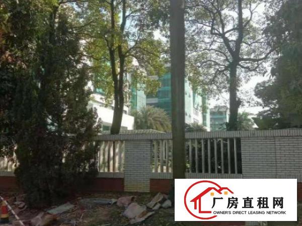  黄江镇原房东独门独院红本厂房招租