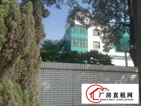  黄江镇原房东独门独院红本厂房招租