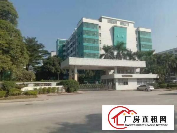  黄江镇原房东独门独院红本厂房招租