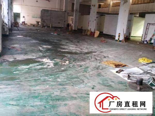  东莞黄江原房东厂房出租