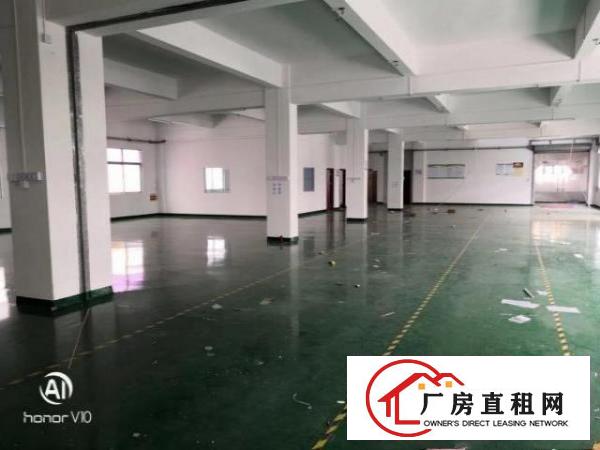  黄江镇厂房招租啦招租