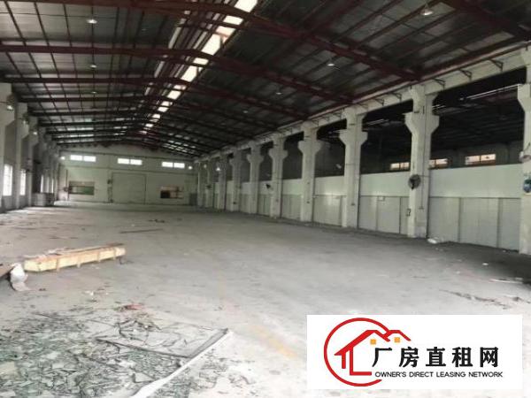  黄江靠深圳带牛角钢构出租大小可分租滴水八米