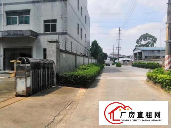  黄江镇一手房东出租独院厂房