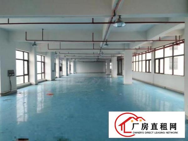  写字楼形式厂房，形象好