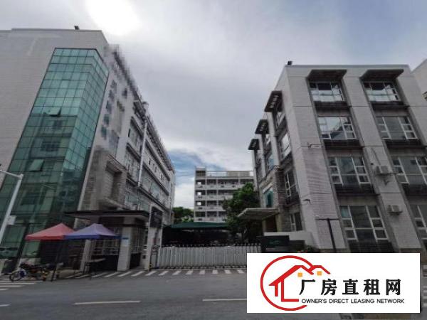  黄江临深独门独院厂房，性价比高