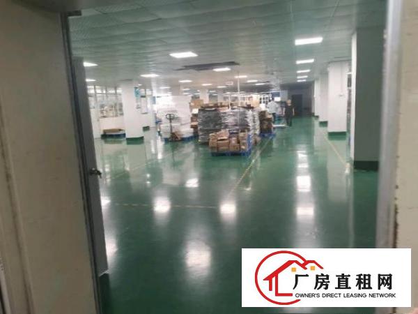  黄江临深独门独院厂房，性价比高