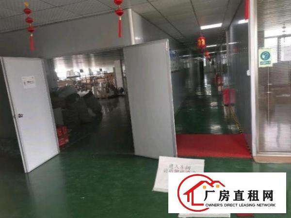  黄江临深独门独院厂房，性价比高