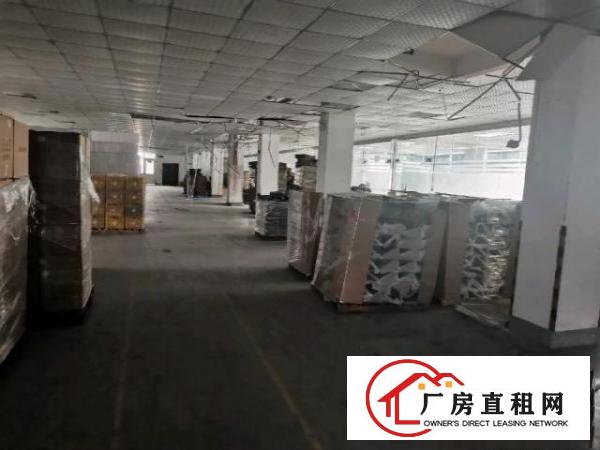  黄江临深独门独院厂房，性价比高