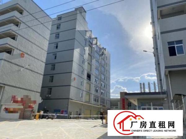  黄江临深二楼800平，带装修