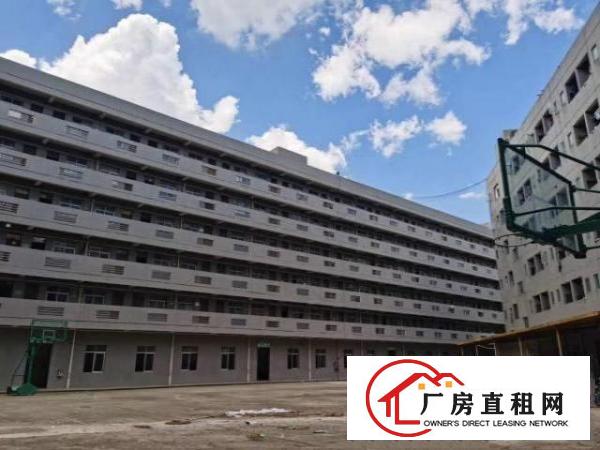  花园式带装修8万平厂房，空地超大