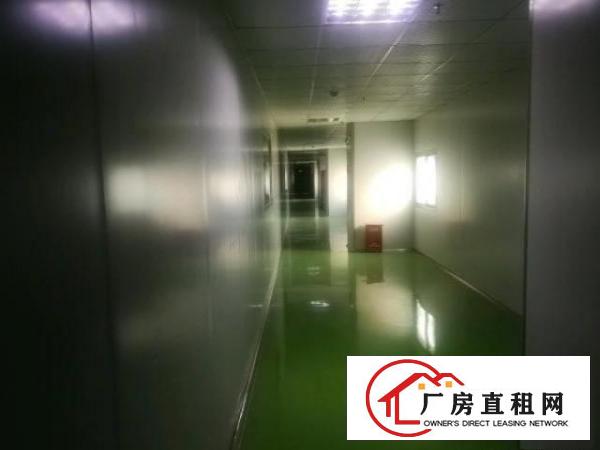  黄江靠公明无尘车间出租