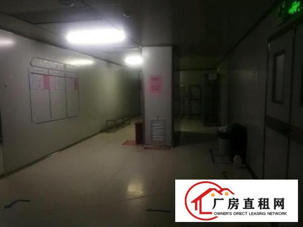  黄江靠公明无尘车间出租