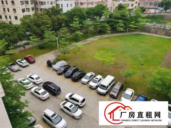  临深黄江标准厂房楼上1500方，高度5米，门口空地大可分租