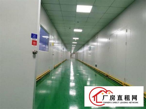  临深黄江标准厂房楼上1500方，高度5米，门口空地大可分租