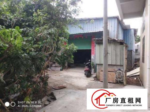  出租黄江镇北岸社区北岸岗村一铁皮房