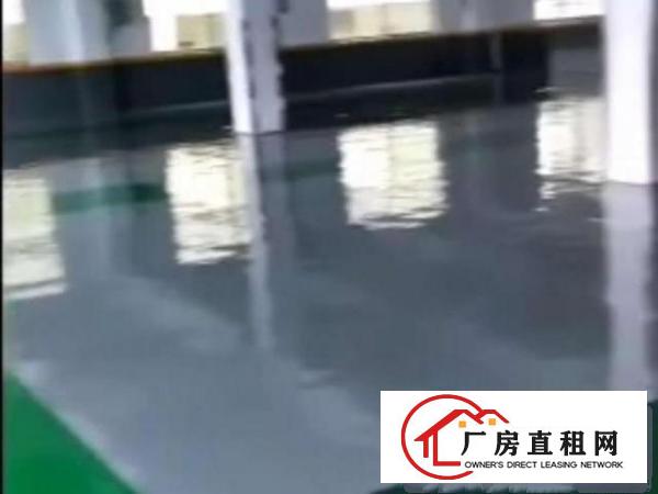  出租黄江公常路龙顺路3号480平厂房5楼带电梯价格优惠