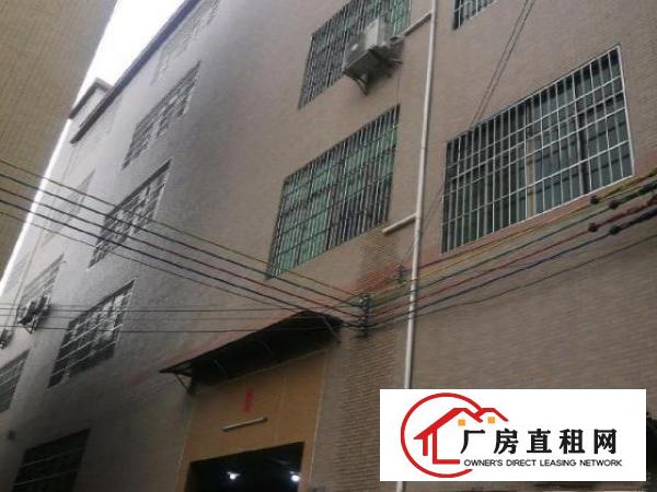  黄江田心标准全新承重厂房
