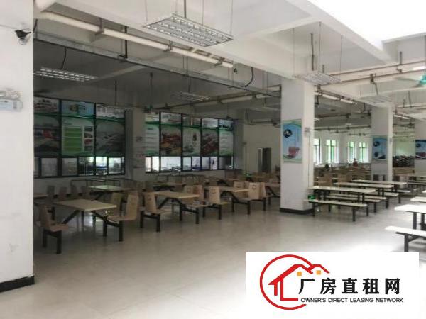 黄江镇新空出：1500平方食堂出租。