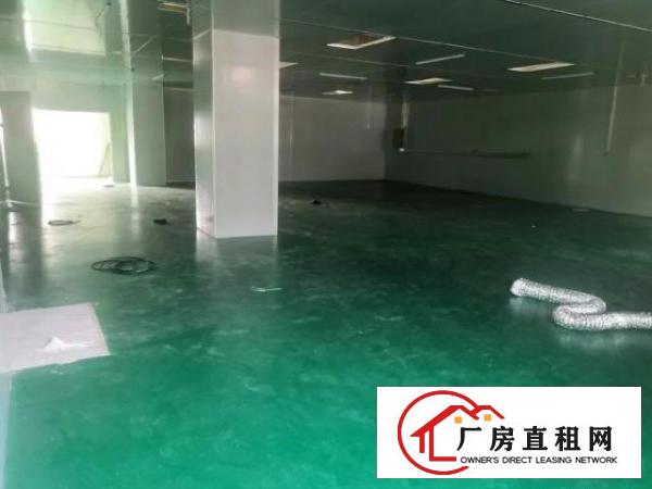  黄江镇中心新出无尘车间550平